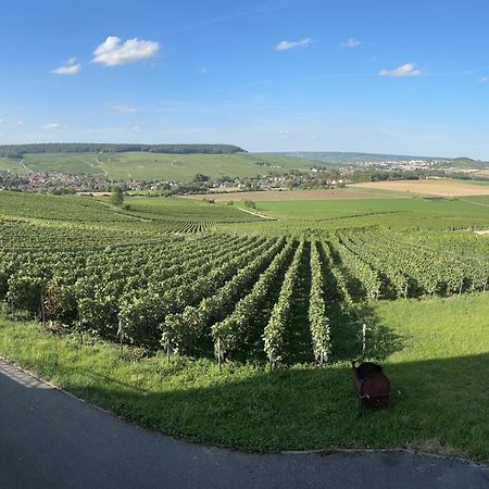 Au Coeur Du Terroir Champenois Villa Chavot-Courcourt Eksteriør billede