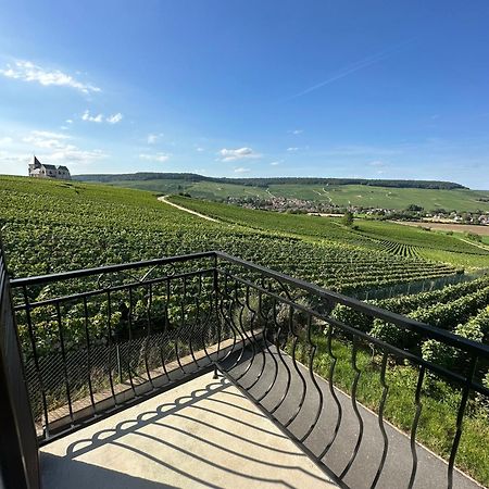 Au Coeur Du Terroir Champenois Villa Chavot-Courcourt Eksteriør billede