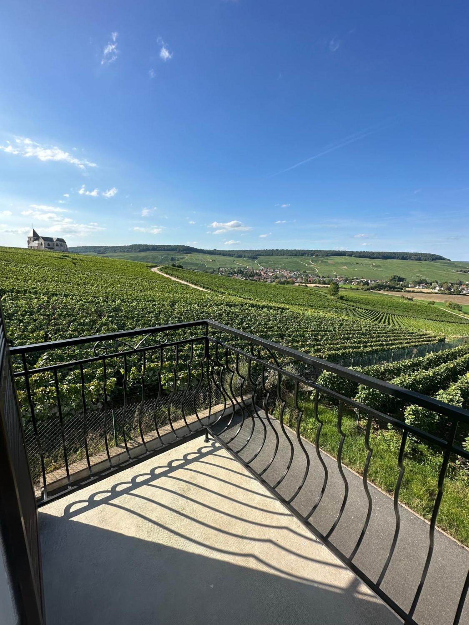 Au Coeur Du Terroir Champenois Villa Chavot-Courcourt Eksteriør billede