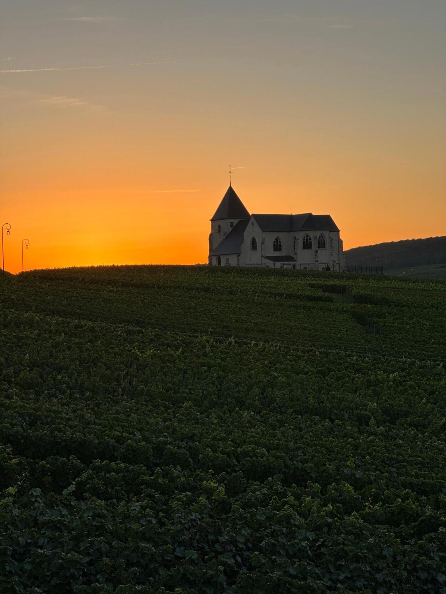 Au Coeur Du Terroir Champenois Villa Chavot-Courcourt Eksteriør billede